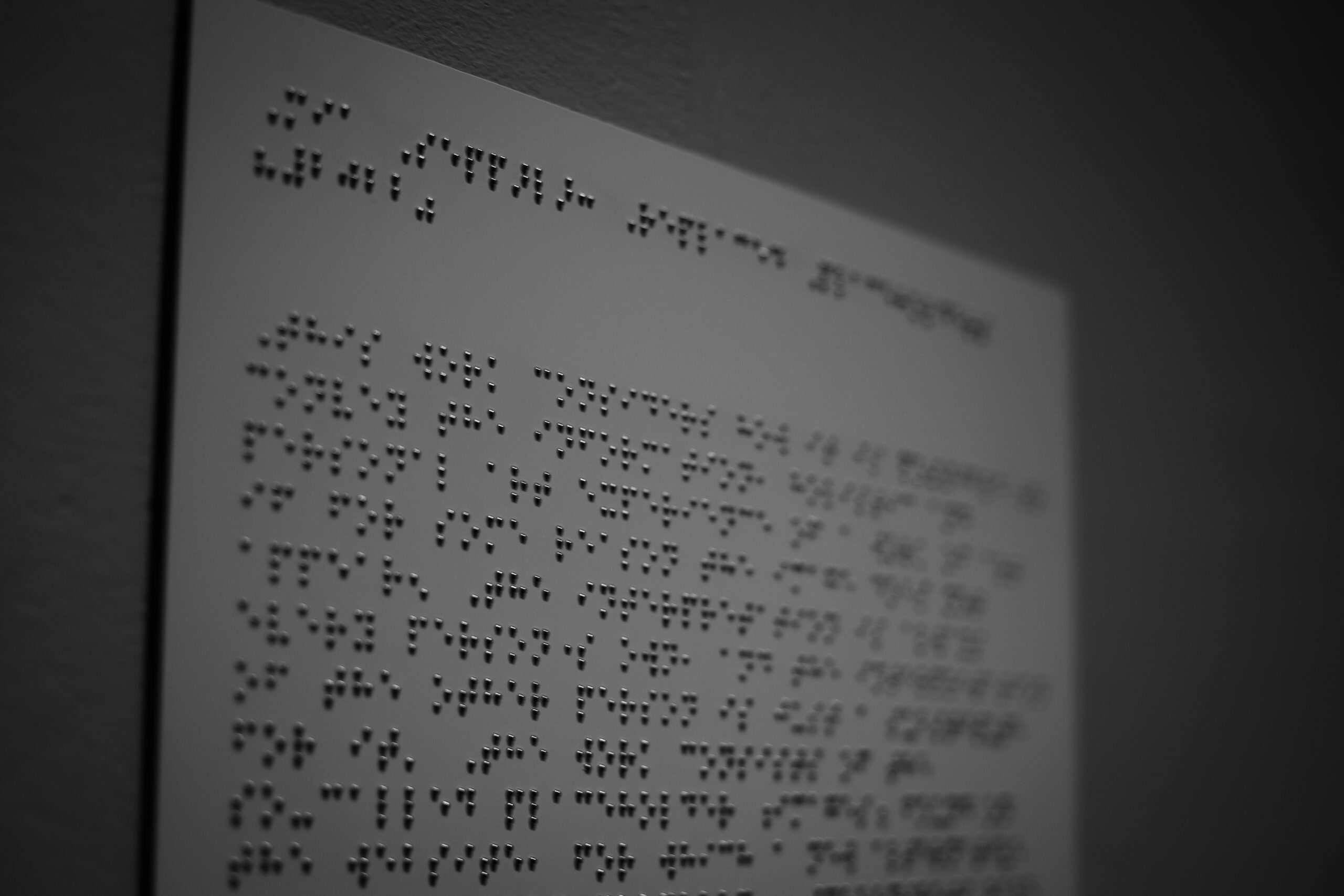 ramona-i8UxWRabF0E-unsplash